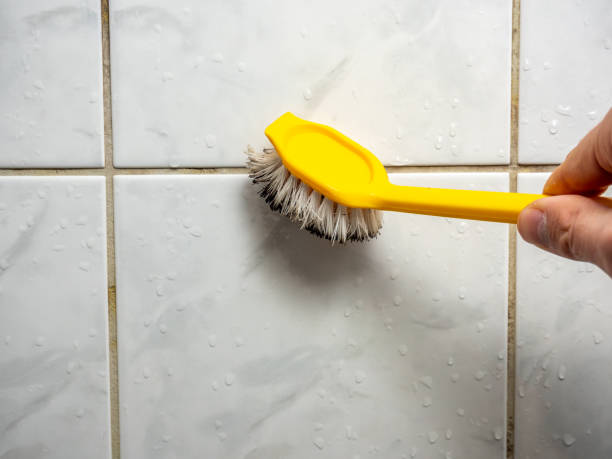 Professional Mold Remediation in Clarinda, IA